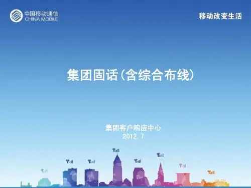 集团固话(含综合布线)