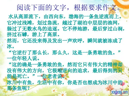 渤海的鱼  作文指导