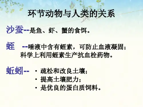环节动物与人类的关系