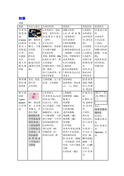 微生物细菌学总结