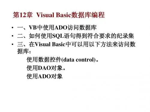Visual Basic数据库编程