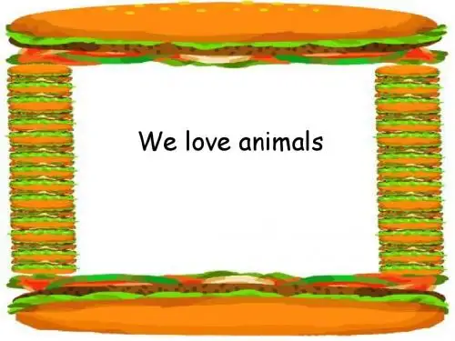 Unit 4 We love Animals课件2