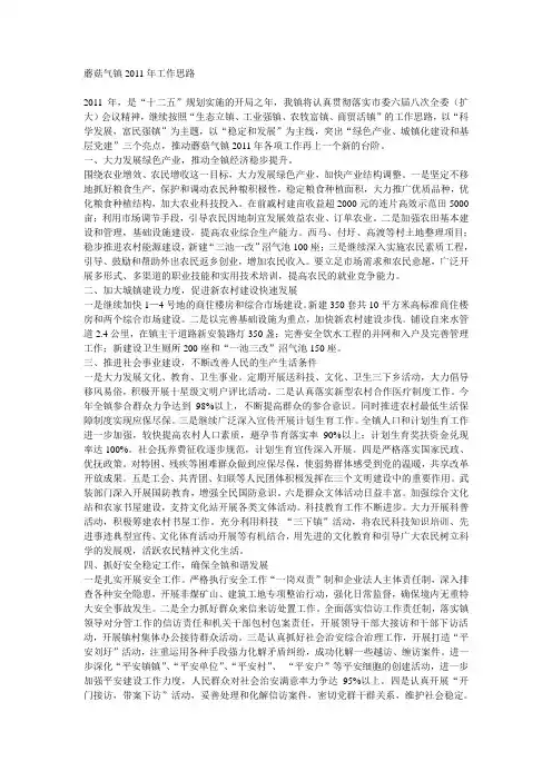 2011年发展思路和重要工作举措