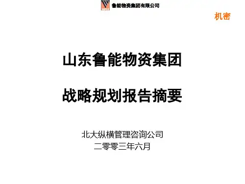 XX集团战略规划报告_