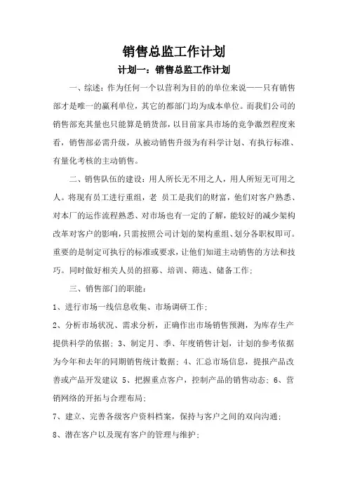 销售总监工作计划合集