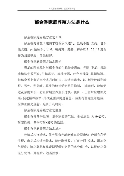郁金香家庭养殖方法是什么