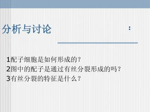 减数分裂课件