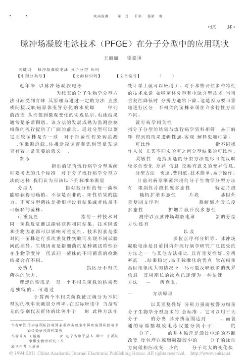 脉冲场凝胶电泳技术_PFGE_在分子分型中的应用现状_王丽丽