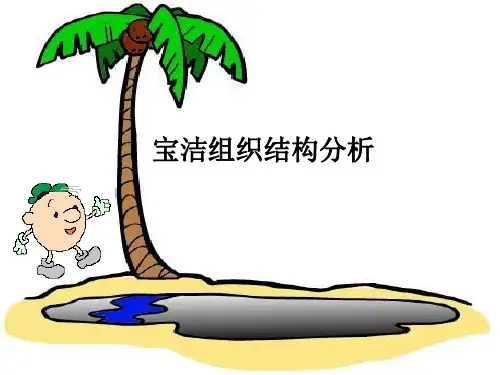 宝洁组织结构分析
