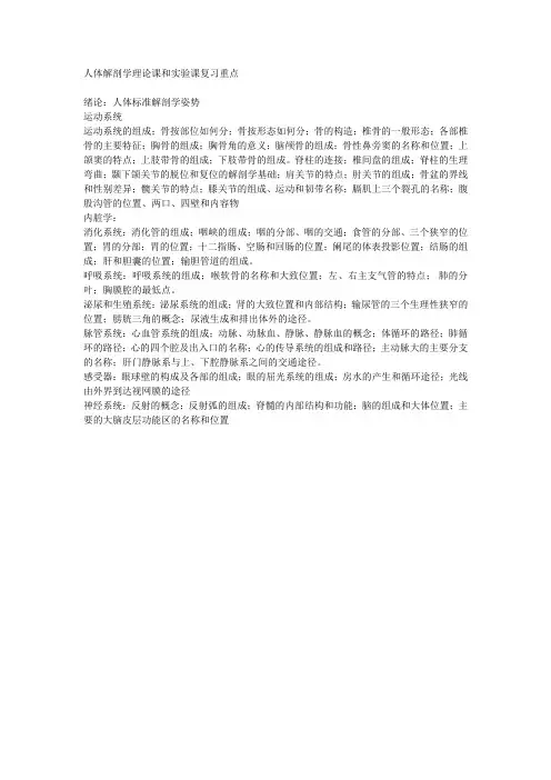 人体解剖