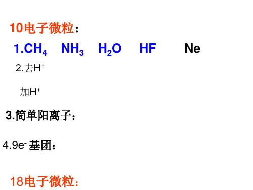 10电子微粒：