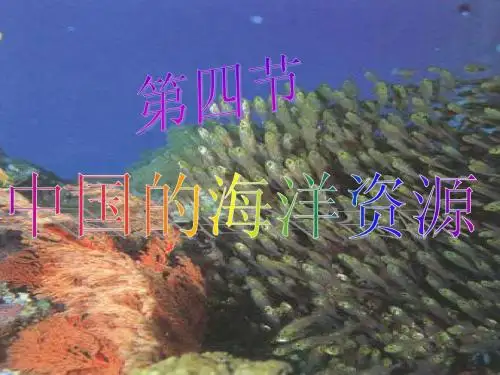 中国的海洋资源