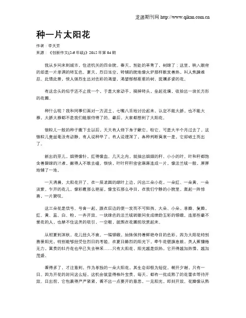 种一片太阳花