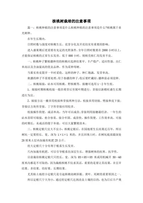 最新-核桃树栽培的注意事项 精品
