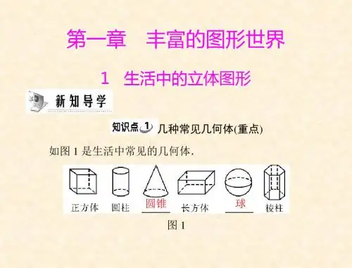 数学七年级 北师大版(上) 第一章 1 生活中的立体图形 [配套课件]