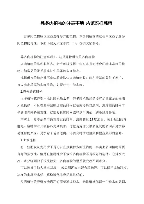养多肉植物的注意事项 应该怎样养殖