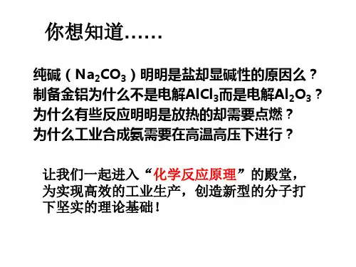 化学反应原理绪言课件