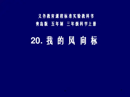 青岛版小三年级科学上册《我的风向标》