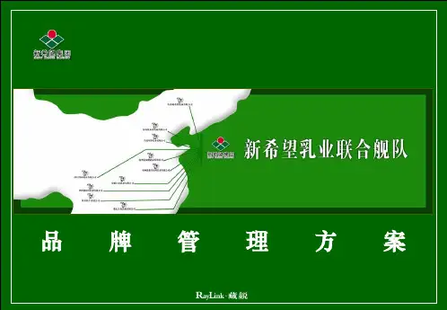 某饮料行业企业品牌管理方案