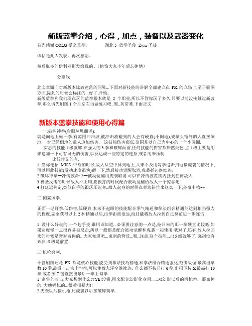 蓝拳加点‘心得及装备选择(大神级)