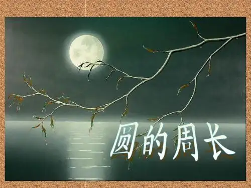 《圆的周长1》PPT课件