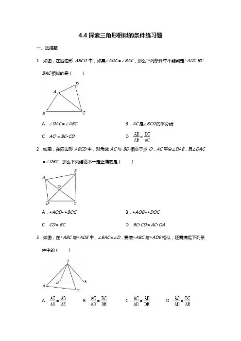 北师大版9年级上4.4：探索三角形相似的条件 练习题
