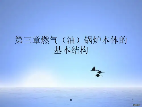 燃气(油)锅炉本体的基本结构