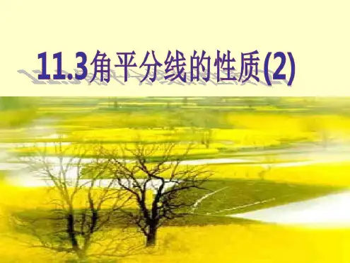 角平分线的性质(2)