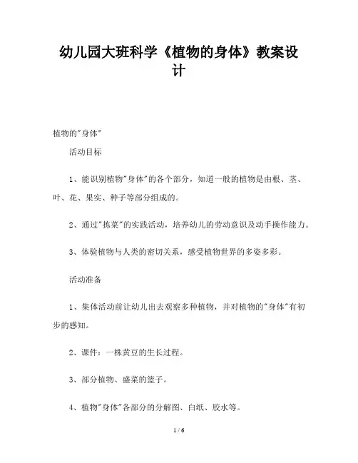 幼儿园大班科学《植物的身体》教案设计