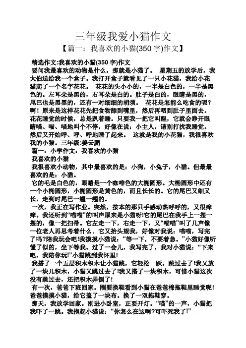 三年级作文之三年级我爱小猫作文