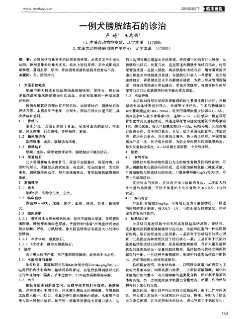 一例犬膀胱结石的诊治