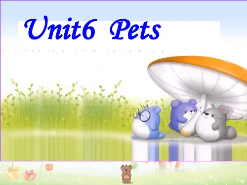 最新牛津深圳版八年级英语下册《Unit 6 Pets》课件:listening and speaking