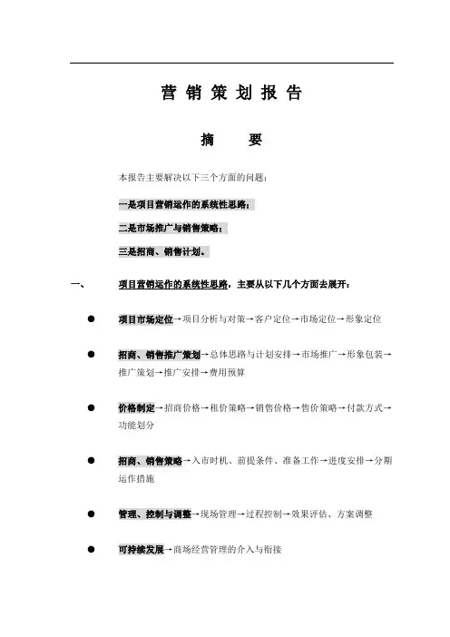 (营销策划)营销策划报告摘要