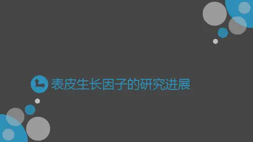 表皮生长因子
