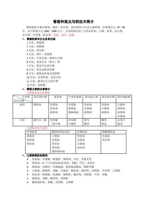 葡萄简介
