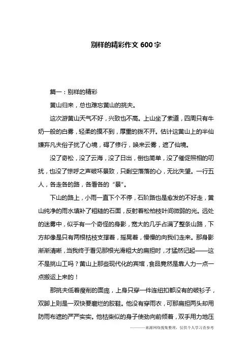 别样的精彩作文600字 2