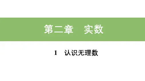 北师大版八年级数学上册_基础知识精练课件:1_认识无理数