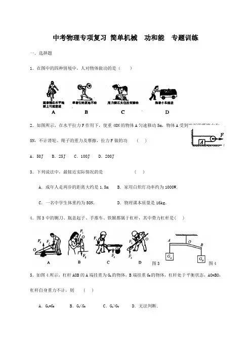 中考物理专题复习 简单机械 功和能【专题训练】