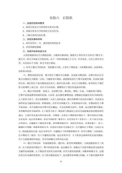 实验四、前肢肌(2学时)