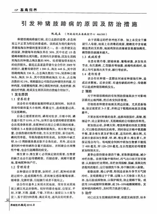 引发种猪肢蹄病的原因及防治措施