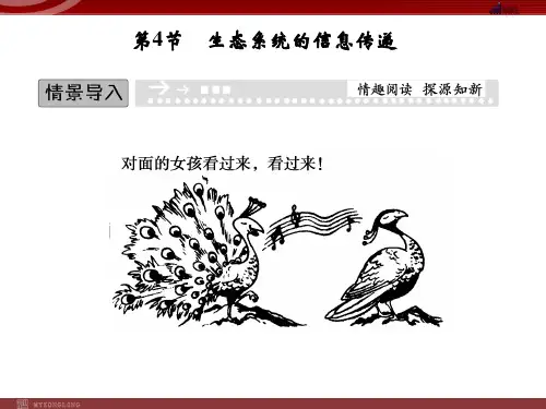 高效课堂同步课件：5-4生态系统的信息传递(必修3)概论