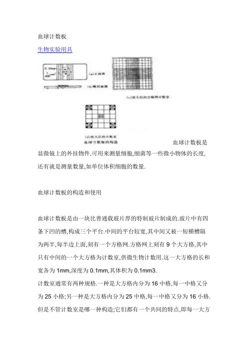 血球计数板的使用