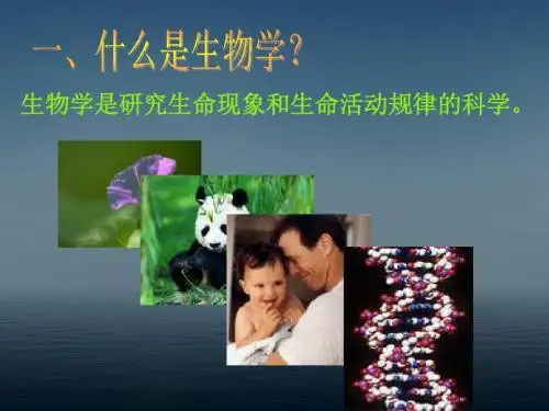 初中生物第一课