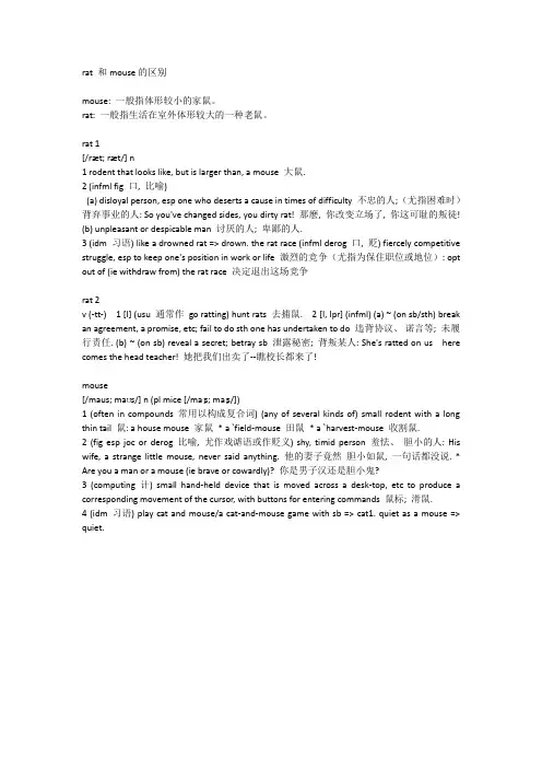 rat和mouse的区别