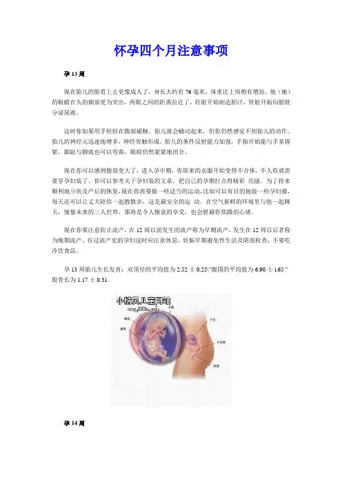 怀孕四个月注意事项
