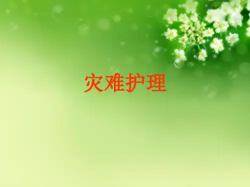 灾难护理优秀课件