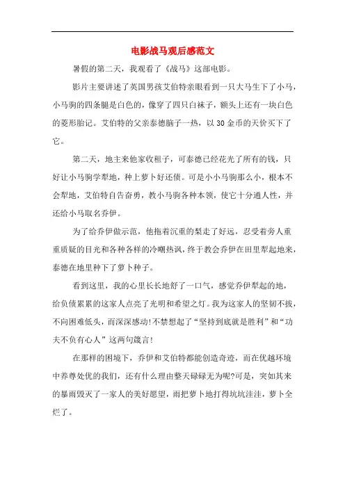 电影战马观后感范文