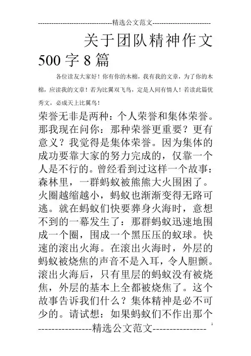 关于团队精神作文500字8篇