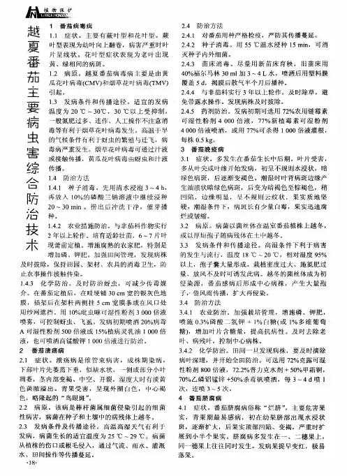越夏番茄主要病虫害综合防治技术