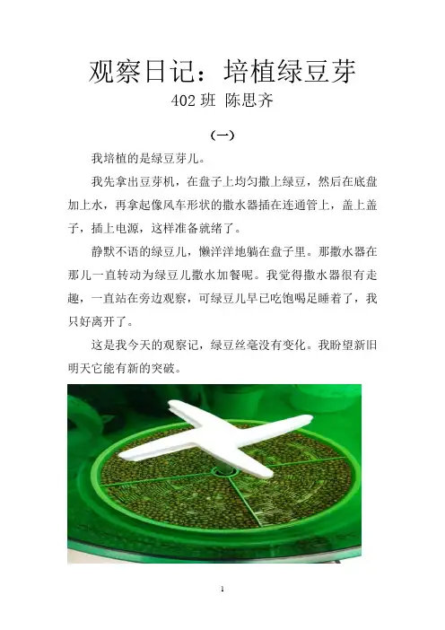 观察日记